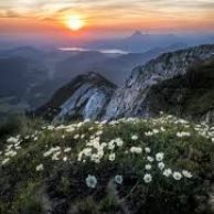 वैसा न रहा