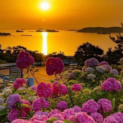 नवनिधि क्षणिकाएँ---