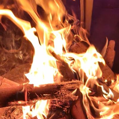 शीर्षक :- नालंदा की यादें निलूफ़र शाज़ के लफ्जों में