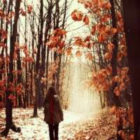 यादें....!!!!!