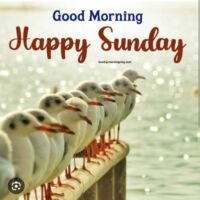 एक ऐसा संडे