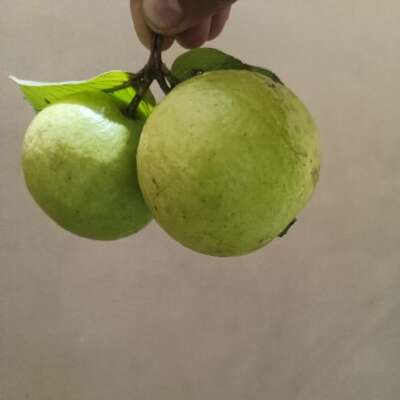 अच्छा खाना