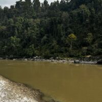 ये नदियाँ