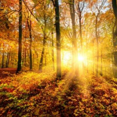 ✍️मुकद्दर आजमाते है✍️