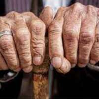 बरगद और बुजुर्ग