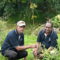 वृक्षारोपण