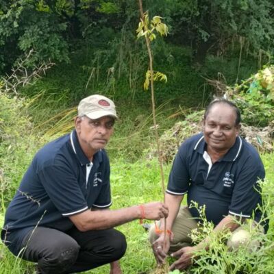 वृक्षारोपण