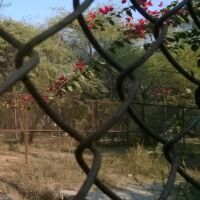 ज़ालिम ही अपराध करेगा ज़ालिम ही भड़काएगा