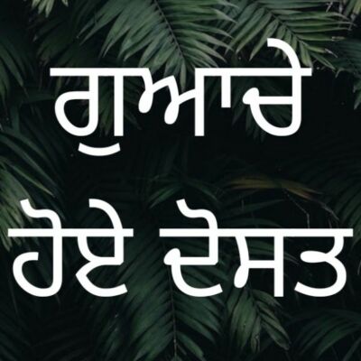 ਗੁਆਚੇ ਹੋਏ ਦੋਸਤ