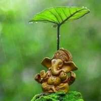 हम है गरीब घर के बेटे