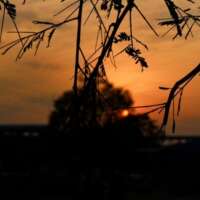 आया बसन्त आनन्द भरा