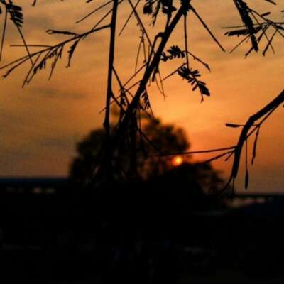 आया बसन्त आनन्द भरा