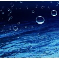 ।। बुलबुले की भांति हैं ।।