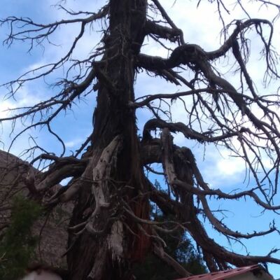 होंगे सारे अवरोध पार