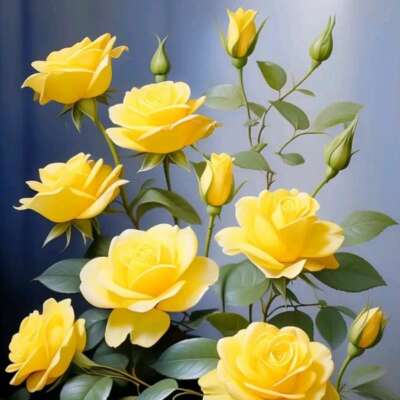 संवेदनाएं