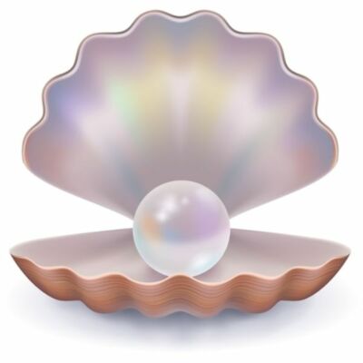 /•• प्रीत के मोती ••/