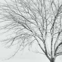 ✍️गहरी बात✍️