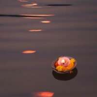 गंगा- सेवा के दस दिन (नौंवां दिन)