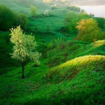 विश्व पर्यावरण दिवस 5 जून 2023