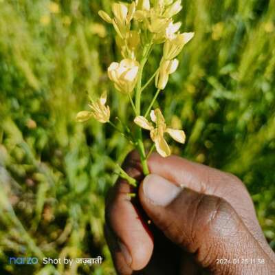 सबूत- ए- इश्क़