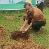 जड़ों से कटना