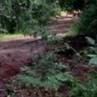 ✍️कधी कधी✍️