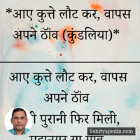 *आए कुत्ते लौट कर, वापस अपने ठॉंव (हास्य कुंडलिया)*