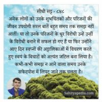 सीधी सट्ट -८४८