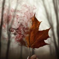 प्रेम की अपूर्णत्ता, एक राह नयी दिखाती है,