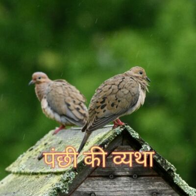 पंछी की व्यथा