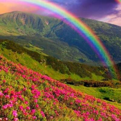 5. इंद्रधनुष