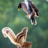 वो खूबसूरत है