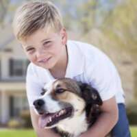 पेट लव्हर