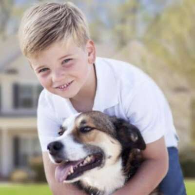 पेट लव्हर