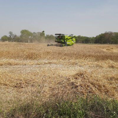 बैसाखी....