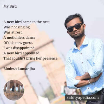 My Bird