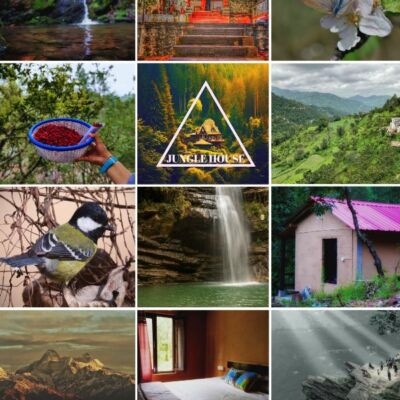 Discover the Tranquility of Jungle House in Mukteshwar