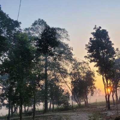 दिन जल्दी से