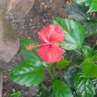 बिखरा ख़ज़ाना