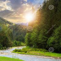 अगर यह सब ना होते।