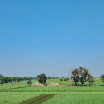 गांव की बात निराली