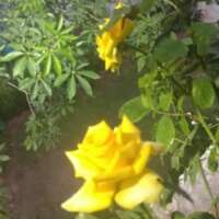 आस्तित्व नही बदलता है!