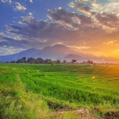 एक गुनगुनी धूप