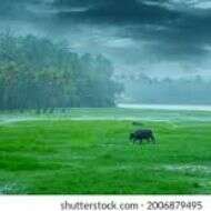 मेघ, वर्षा और हरियाली