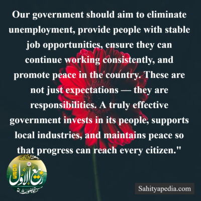 Our government should aim to eliminate unemployment, provide