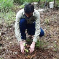 वृक्ष बन जाओगे