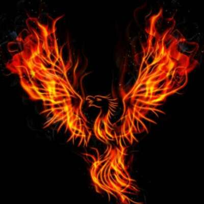 ✍️मी फिनिक्स...!✍️