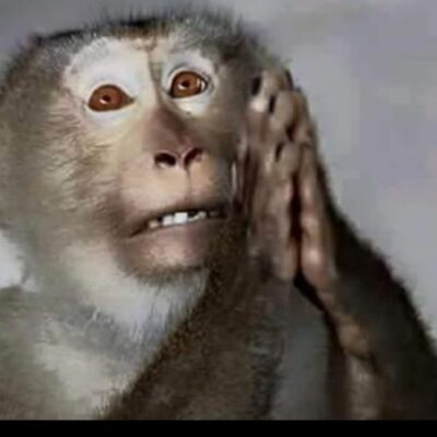 मेरे छिनते घर