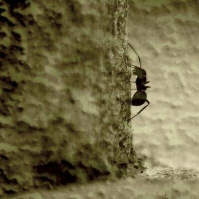 [ ख़ुद पर तुम विश्वास रखो ]