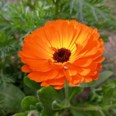 धर्म खतरे में है.. का अर्थ